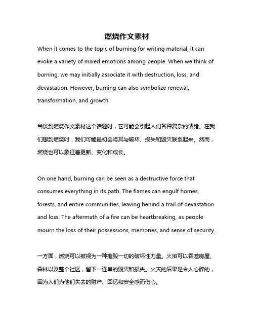 燃烧作文素材