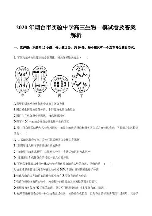 2020年烟台市实验中学高三生物一模试卷及答案解析