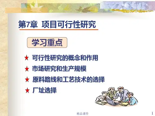 项目可行性研究PPT课件