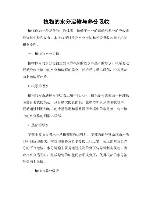 植物的水分运输与养分吸收