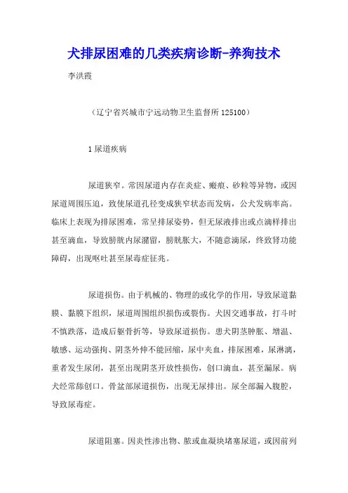 犬排尿困难的几类疾病诊断 - 养狗技术