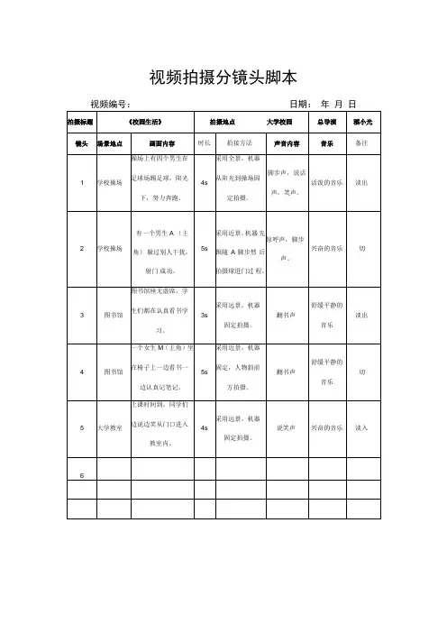 视频拍摄分镜头脚本-精选5篇