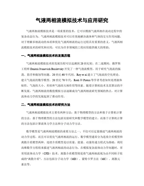 气液两相流模拟技术与应用研究