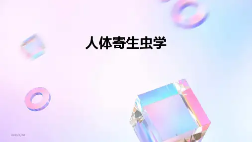 人体寄生虫学