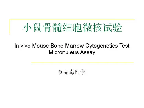 小鼠骨髓细胞微核试验