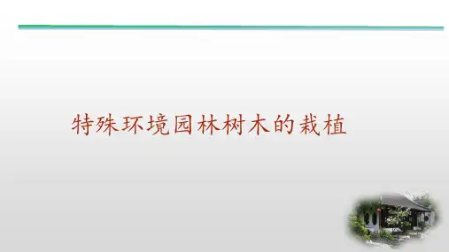 特殊环境园林树木栽培与养护：铺装地面的园林树木栽植