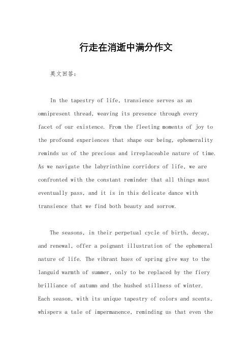 行走在消逝中满分作文