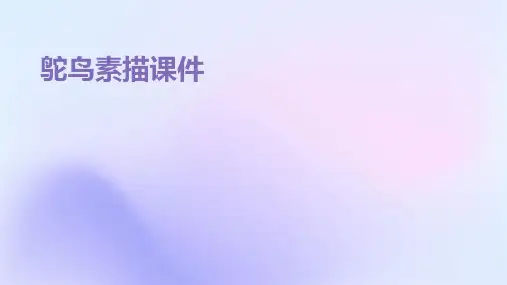 鸵鸟素描课件ppt