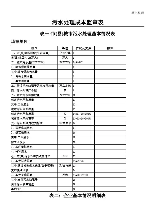 污水处理成本监审表格模板