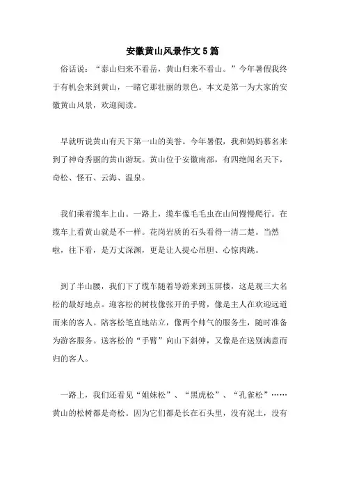 安徽黄山风景作文5篇
