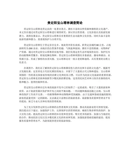 贵定阳宝山塔林调查简论