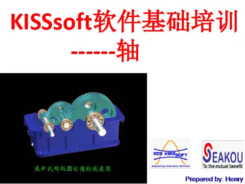 中文 KISSsoft软件基础培训 轴