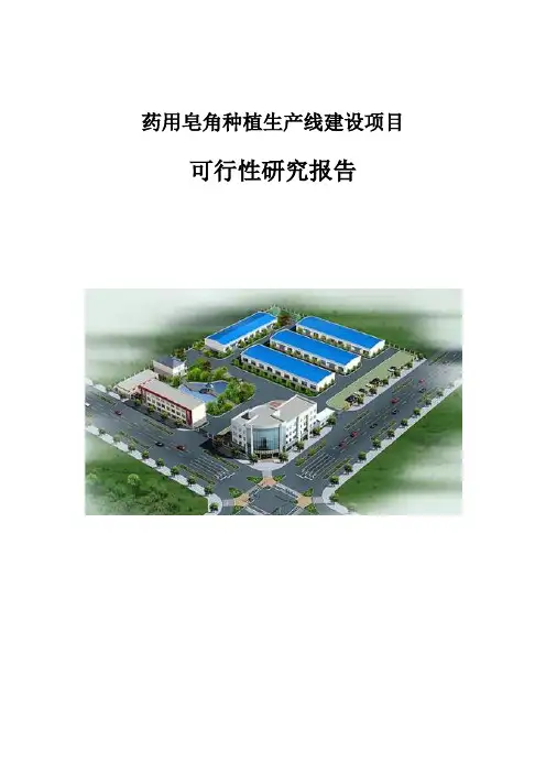 药用皂角种植生产建设项目可行性研究报告
