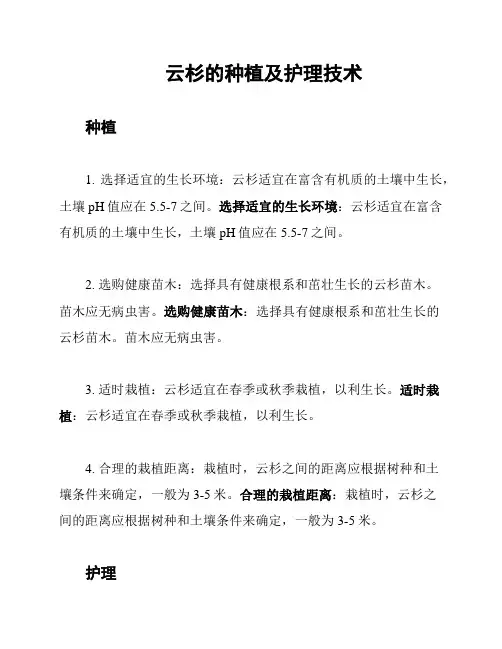 云杉的种植及护理技术