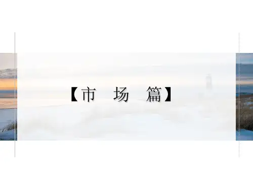 无锡酒店式公寓项目定位报告