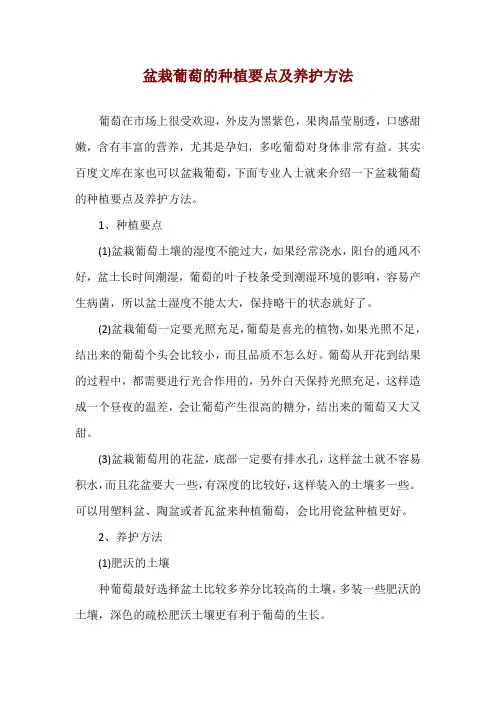 盆栽葡萄的种植要点及养护方法