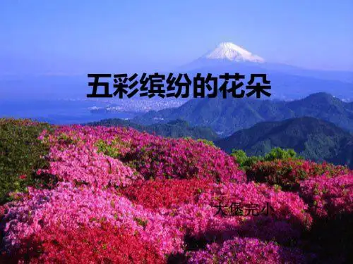 一年级下册美术课件-3五彩缤纷的花朵 广西版 (共14张PPT)