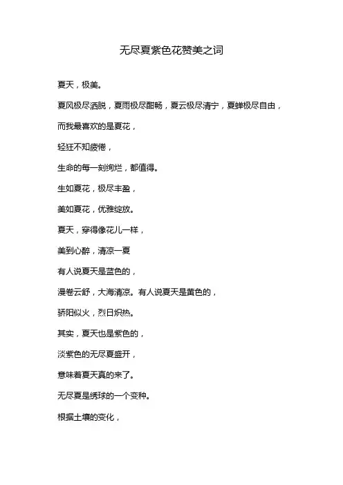 无尽夏紫色花赞美之词