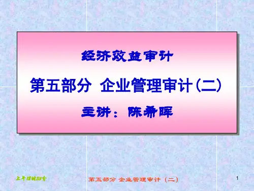 经济效益审计第五讲企业管理审计(二)