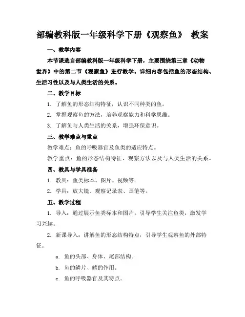部编教科版一年级科学下册《观察鱼》教案