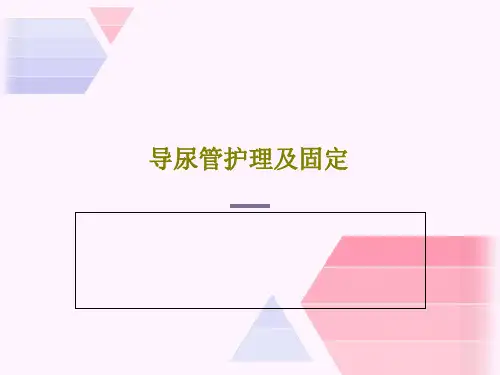 导尿管护理及固定49页PPT