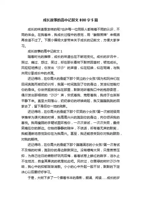 成长故事的高中记叙文800字5篇