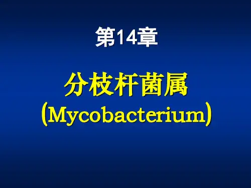 医学微生物学 第14章 分支杆菌属