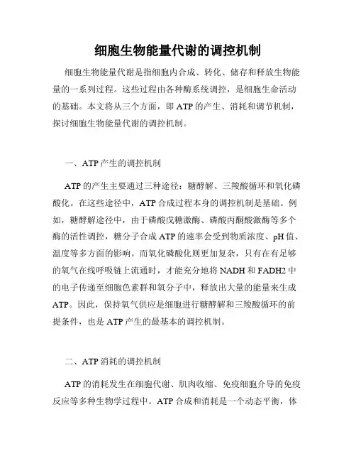 细胞生物能量代谢的调控机制