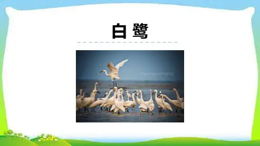 1. 白鹭课件(共26张PPT)