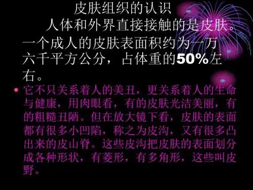 皮肤组织的认识