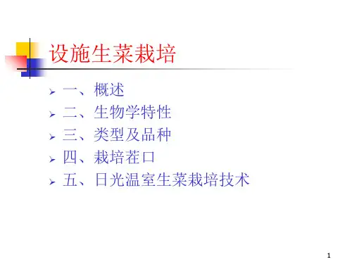 设施生菜栽培PPT课件