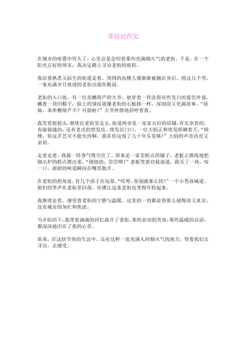 寻访记作文
