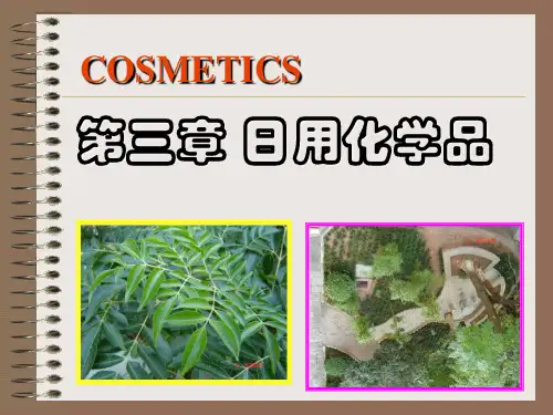 3第三章 日用化学品