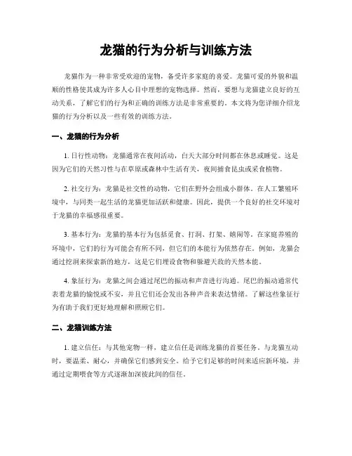 龙猫的行为分析与训练方法