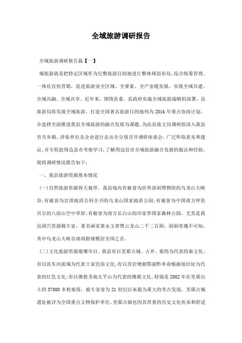 全域旅游调研报告