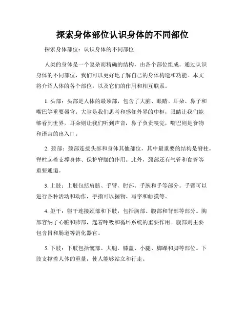 探索身体部位认识身体的不同部位