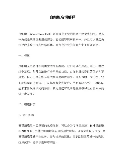 白细胞名词解释