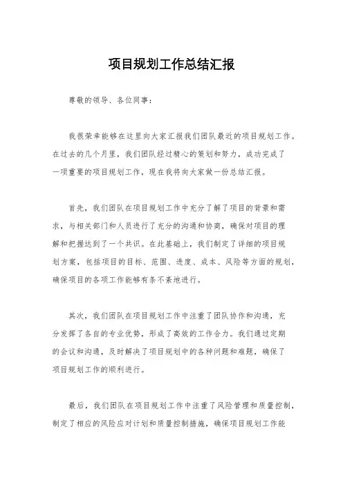 项目规划工作总结汇报