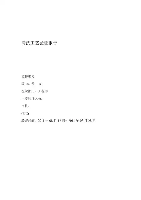 清洗工艺验证报告