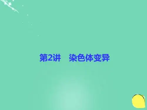 2017高考生物一轮复习 第7单元 生物的变异、育种和进化 第2讲 染色体变异课件