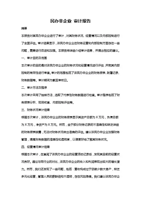 民办非企业 审计报告