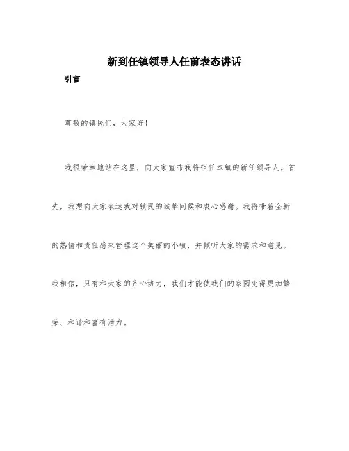 新到任镇领导人任前表态讲话