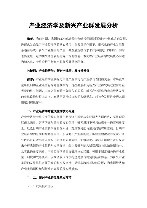 产业经济学及新兴产业群发展分析