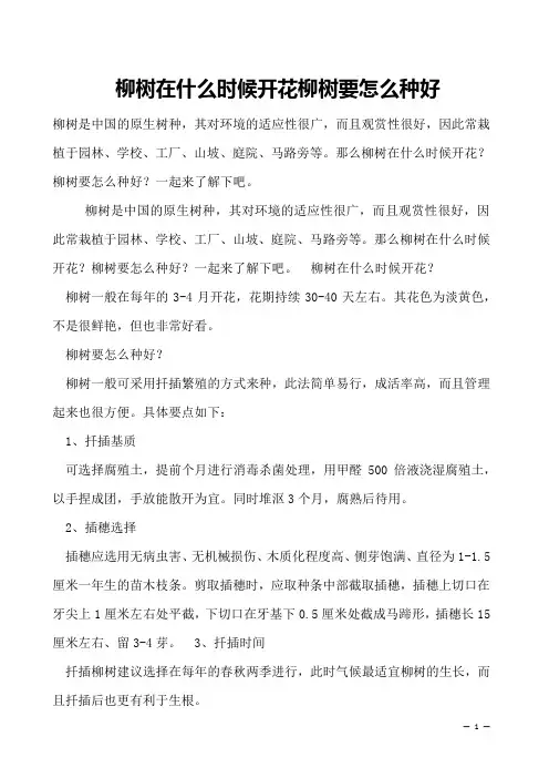 柳树在什么时候开花柳树要怎么种好