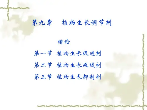 植物生长调节剂 PPT课件