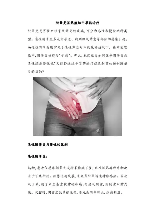 附睾炎湿热蕰结中草药治疗