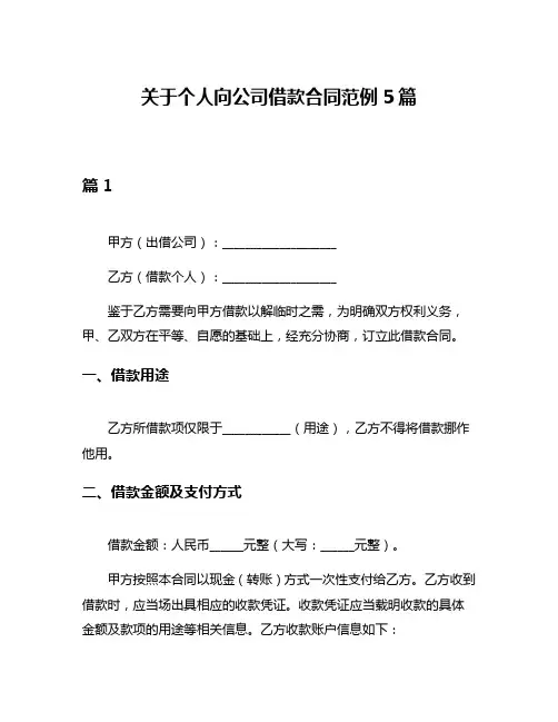 关于个人向公司借款合同范例5篇