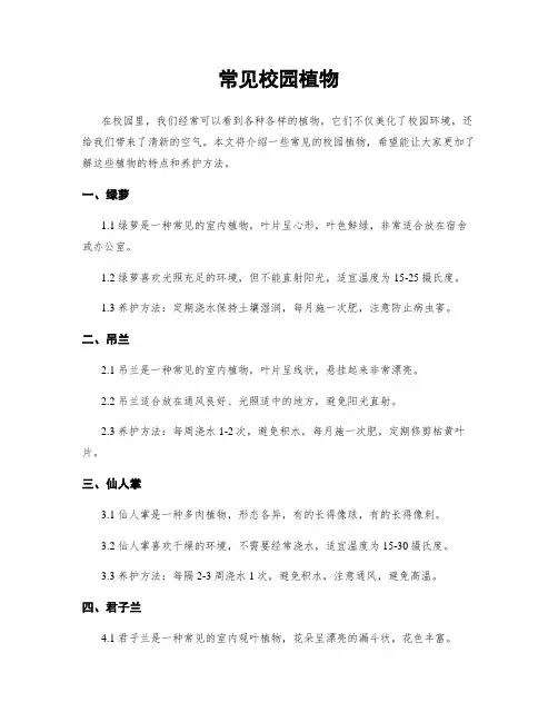 常见校园植物