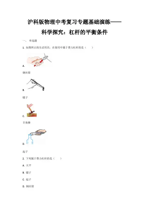 2021年沪科版物理中考复习专题基础演练—— 科学探究：杠杆的平衡条件 (解析版)