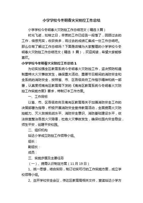 小学学校今冬明春火灾防控工作总结